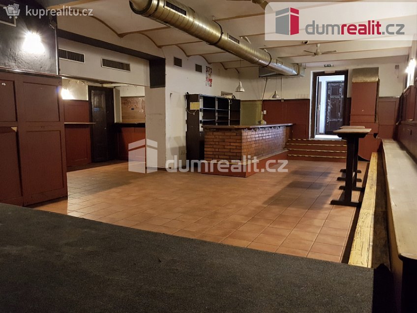 Pronájem  komerční reality 220 m^2 U Tří lvů, České Budějovice 