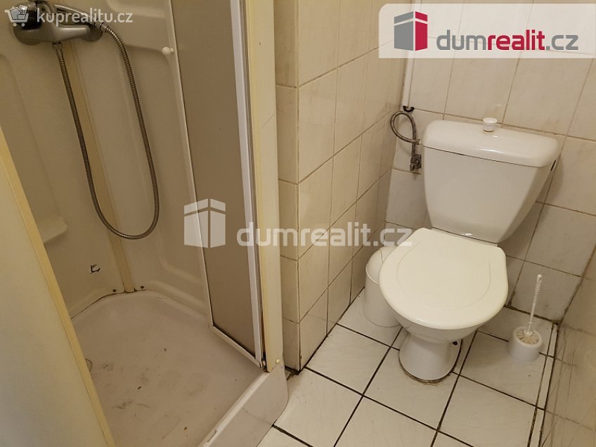 Pronájem  komerční reality 220 m^2 U Tří lvů, České Budějovice 