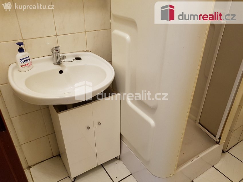 Pronájem  komerční reality 220 m^2 U Tří lvů, České Budějovice 