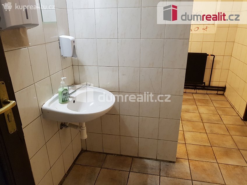 Pronájem  komerční reality 220 m^2 U Tří lvů, České Budějovice 