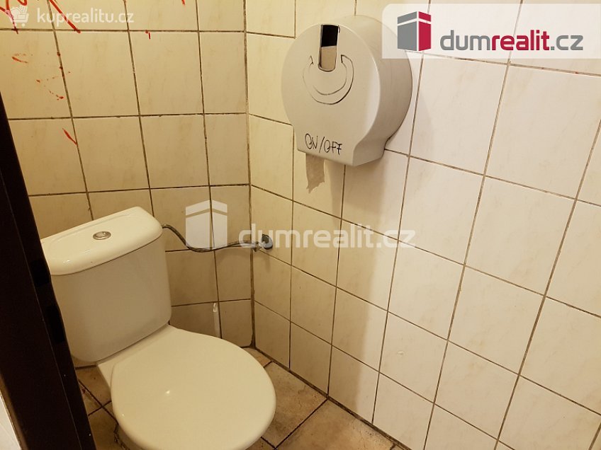 Pronájem  komerční reality 220 m^2 U Tří lvů, České Budějovice 