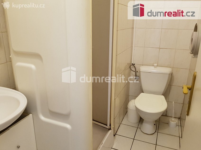 Pronájem  komerční reality 220 m^2 U Tří lvů, České Budějovice 