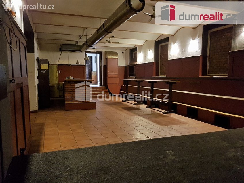 Pronájem  komerční reality 220 m^2 U Tří lvů, České Budějovice 