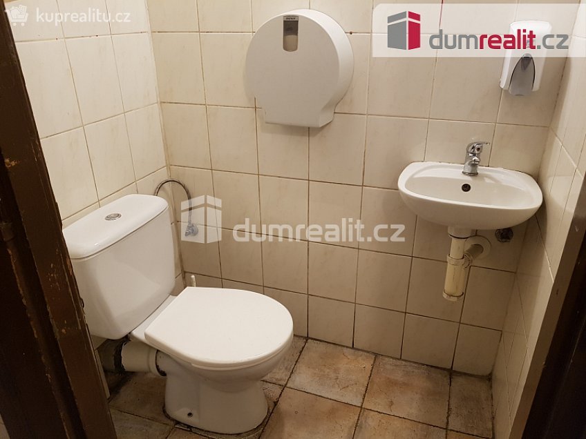 Pronájem  komerční reality 220 m^2 U Tří lvů, České Budějovice 