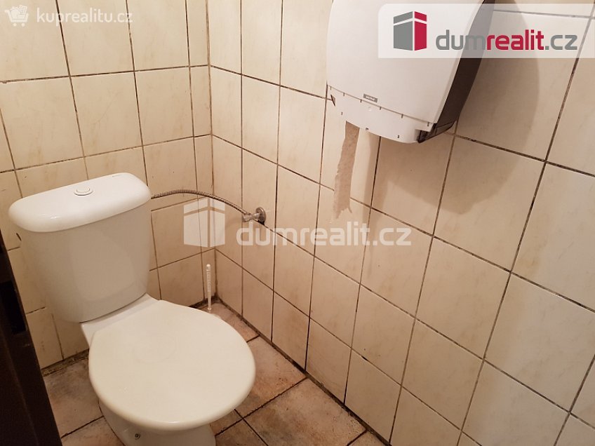 Pronájem  komerční reality 220 m^2 U Tří lvů, České Budějovice 