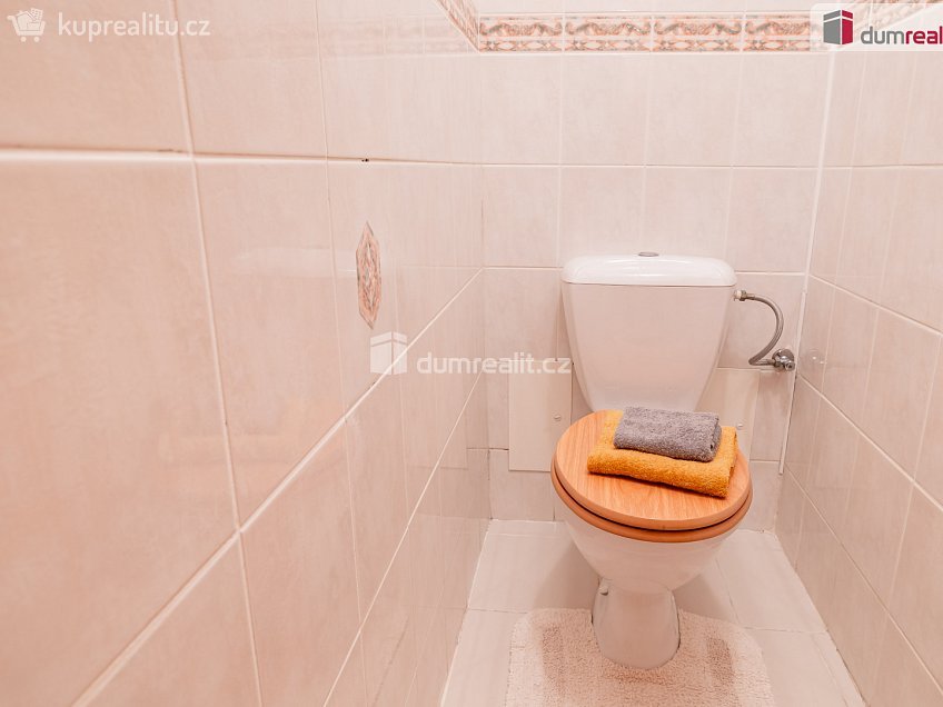 Prodej  rodinného domu 350 m^2 Viničná, Mladá Boleslav 