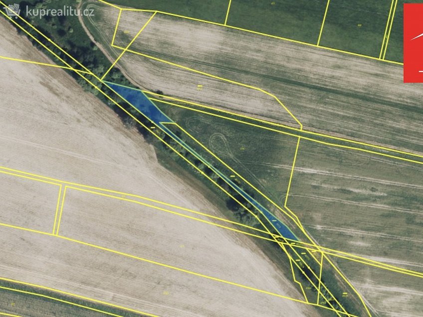 Prodej  pole 55372 m^2 Vítězná, Vítězná 