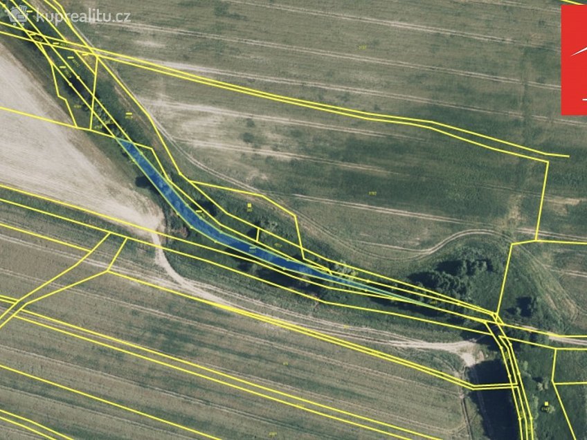 Prodej  pole 55372 m^2 Vítězná, Vítězná 