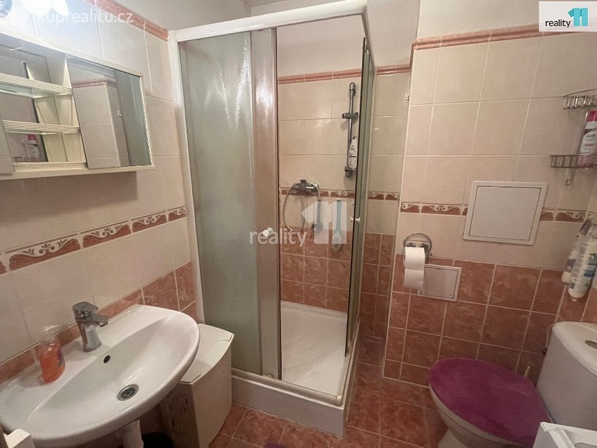 Prodej bytu 2+kk 40 m^2 Slepá, Milovice 