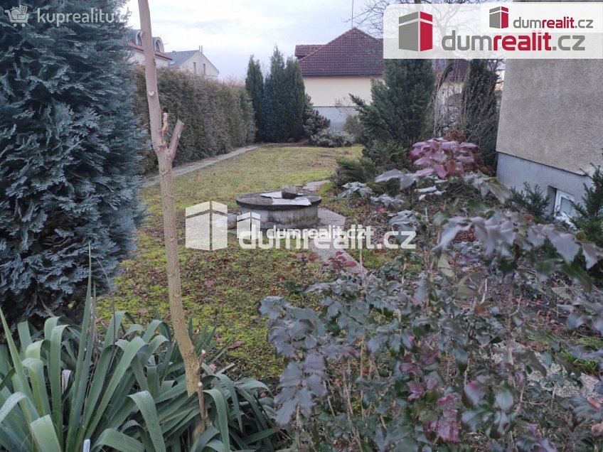 Pronájem bytu atypický 16 m^2 Dr. Filipa, Poděbrady 