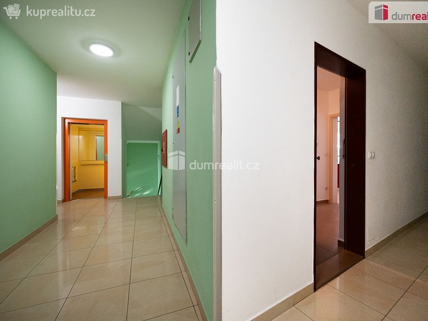 Prodej bytu 3+kk 94 m^2 Riegrova, České Budějovice 