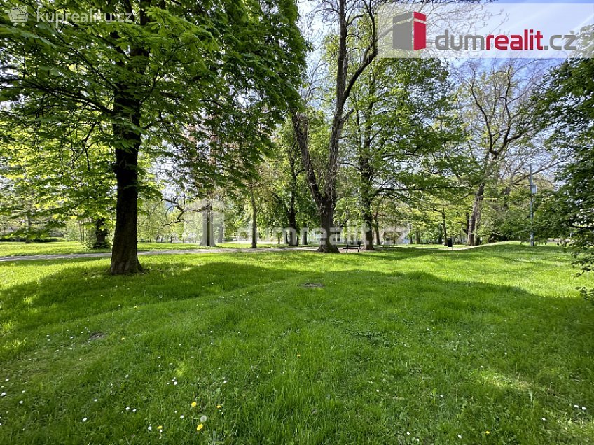 Pronájem bytu 1+kk 21 m^2 Moskevská, Ústí nad Labem 