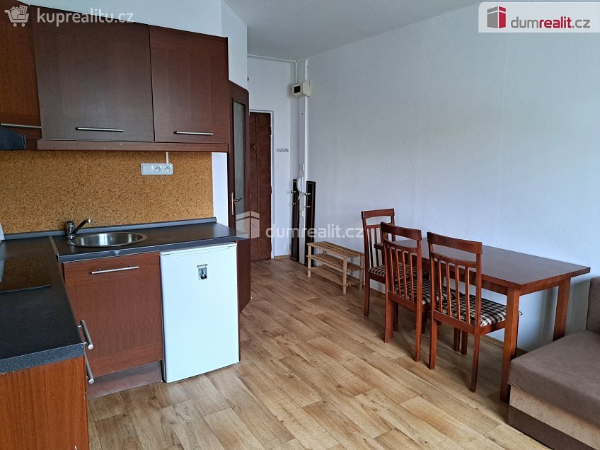 Pronájem bytu 1+1 37 m^2 Šumavská, Ústí nad Labem 
