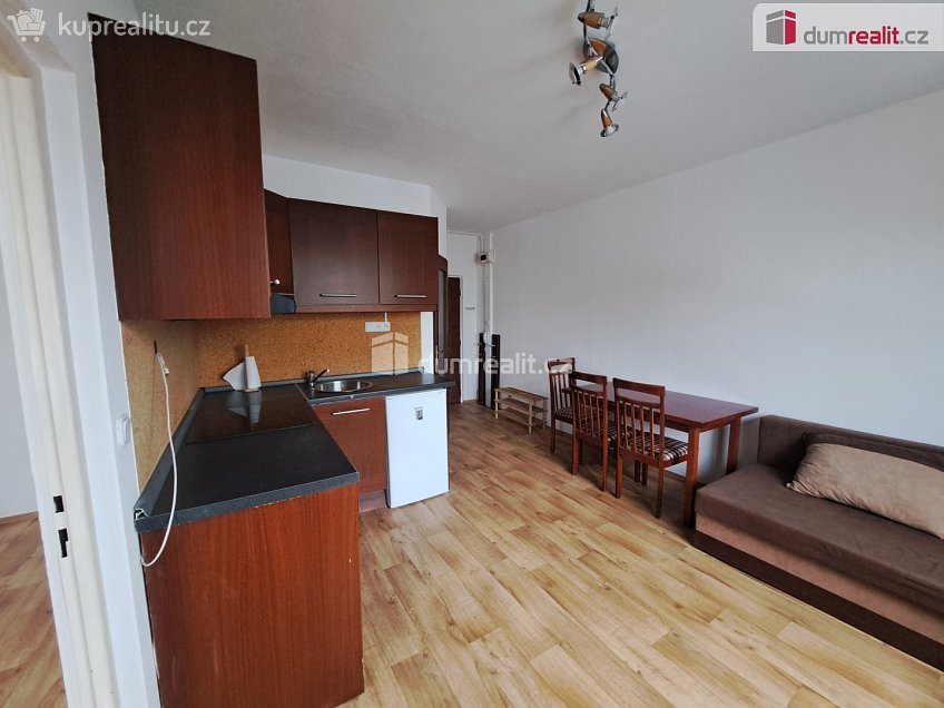 Pronájem bytu 1+1 37 m^2 Šumavská, Ústí nad Labem 