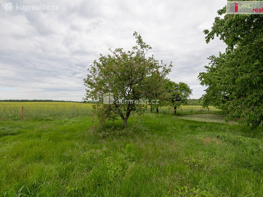 Prodej  zahrady 1647 m^2 Řepín, Řepín 
