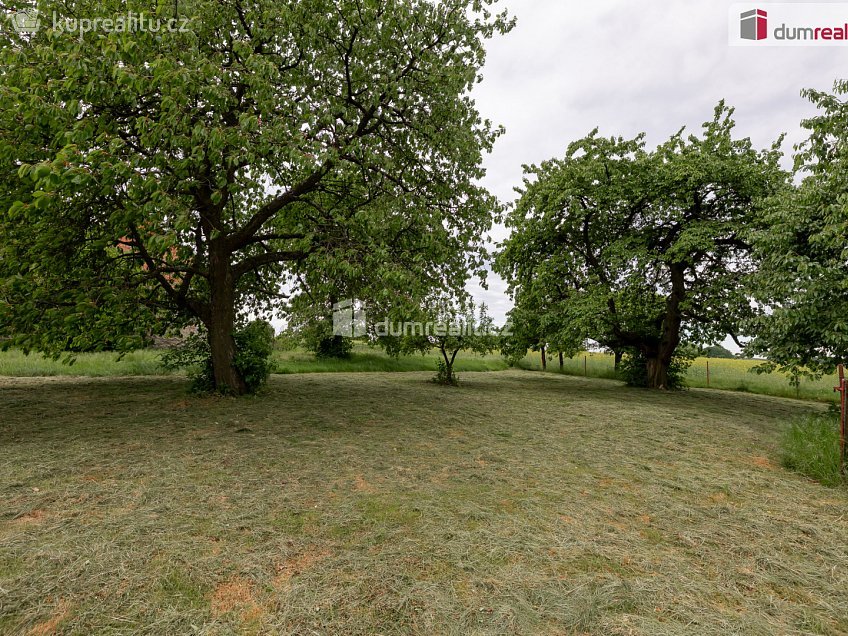 Prodej  zahrady 1647 m^2 Řepín, Řepín 