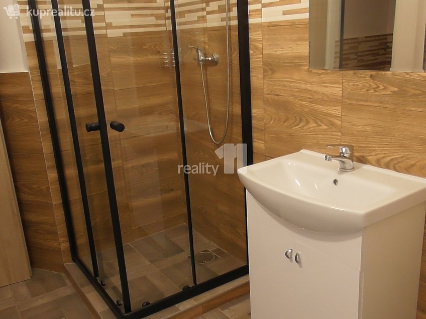 Pronájem  obchodních prostor 110 m^2 Přemyslovců, Ostrava 