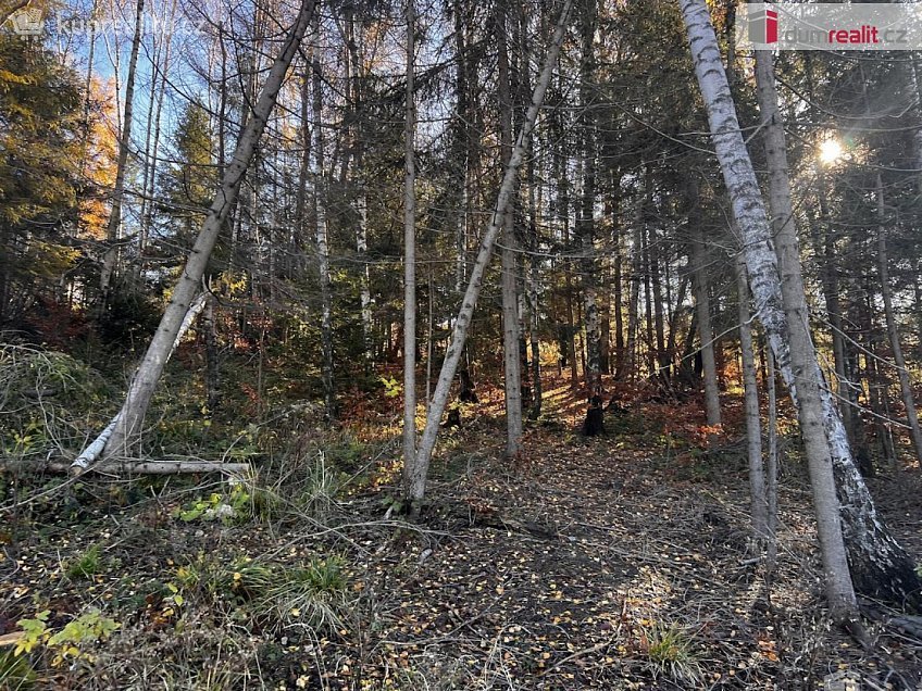 Prodej  stavebního pozemku 3129 m^2 Chvalčov, Chvalčov 