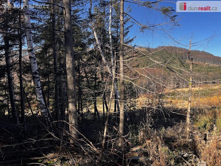 Prodej  stavebního pozemku 3129 m^2 Chvalčov, Chvalčov 