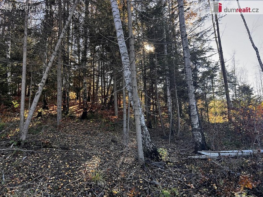 Prodej  stavebního pozemku 3129 m^2 Chvalčov, Chvalčov 