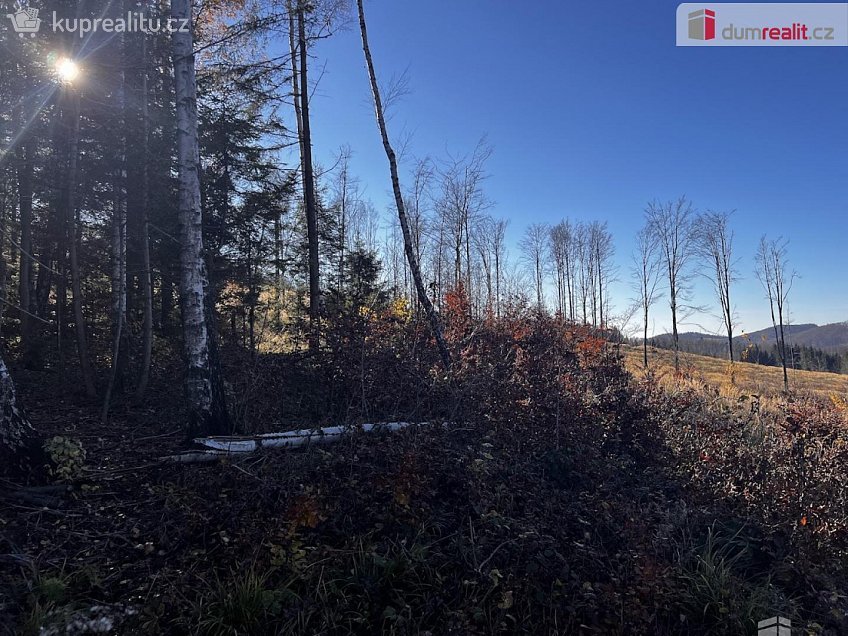 Prodej  stavebního pozemku 3129 m^2 Chvalčov, Chvalčov 