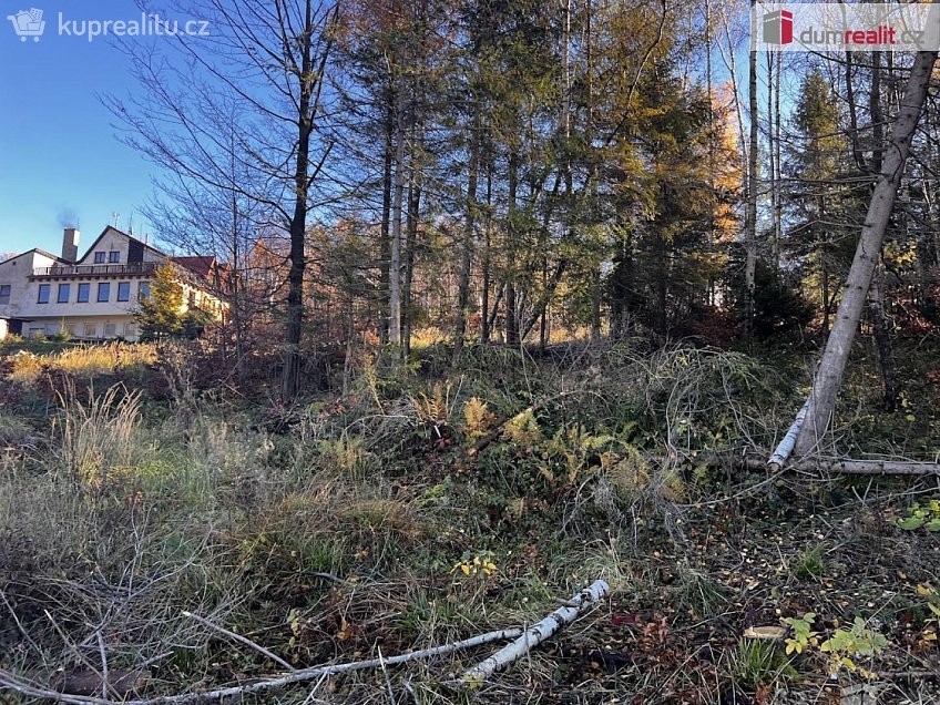 Prodej  stavebního pozemku 3129 m^2 Chvalčov, Chvalčov 