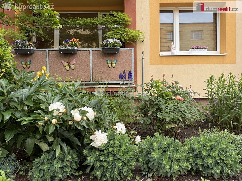 Pronájem bytu 1+1 36 m^2 Cyrilská, Chlumec 