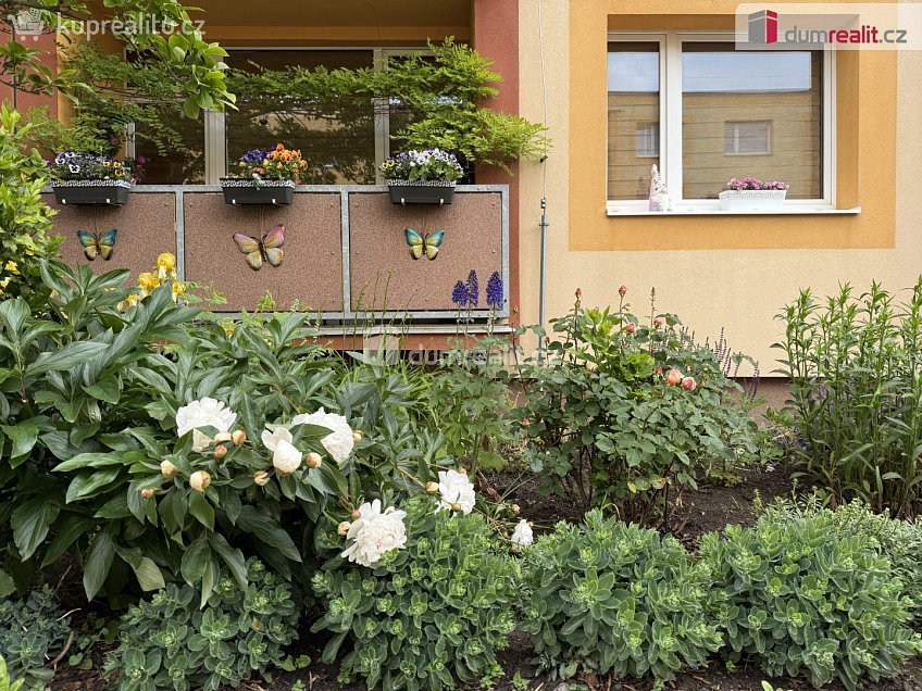 Pronájem bytu 1+1 36 m^2 Cyrilská, Chlumec 