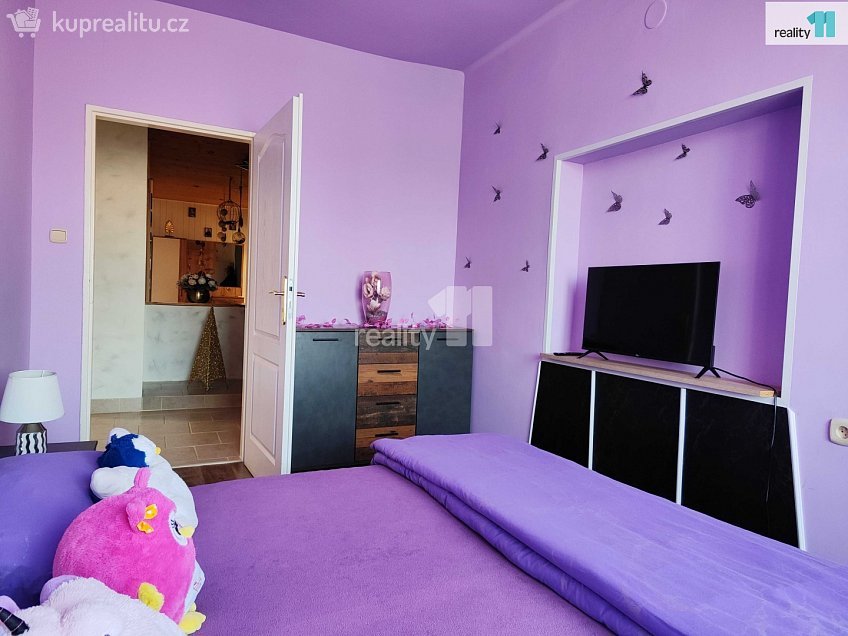 Prodej bytu 5 a více 223 m^2 Chlumec nad Cidlinou, Chlumec nad Cidlinou 