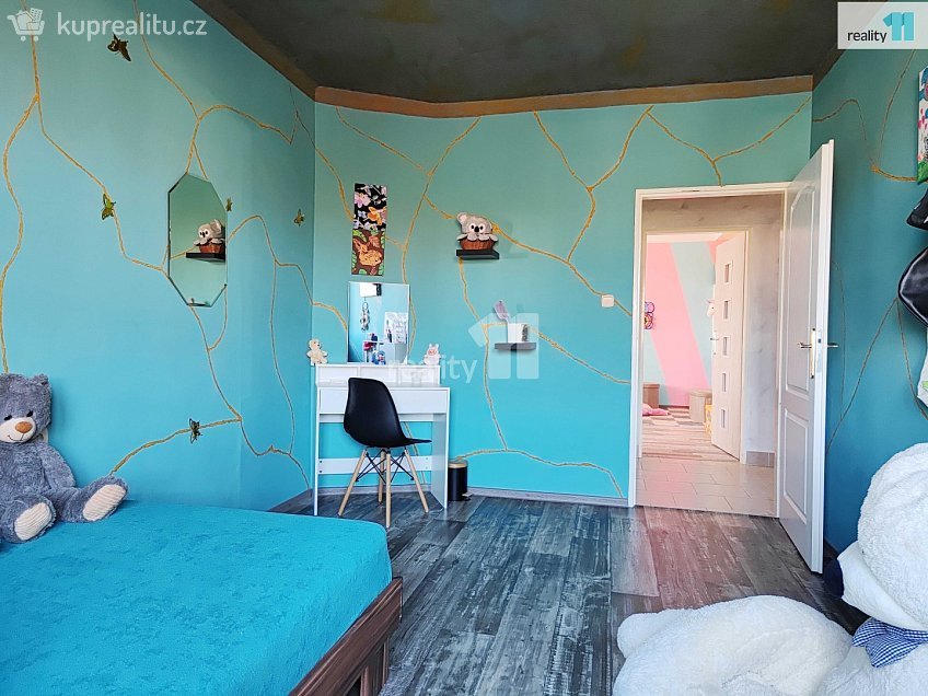 Prodej bytu 5 a více 223 m^2 Chlumec nad Cidlinou, Chlumec nad Cidlinou 