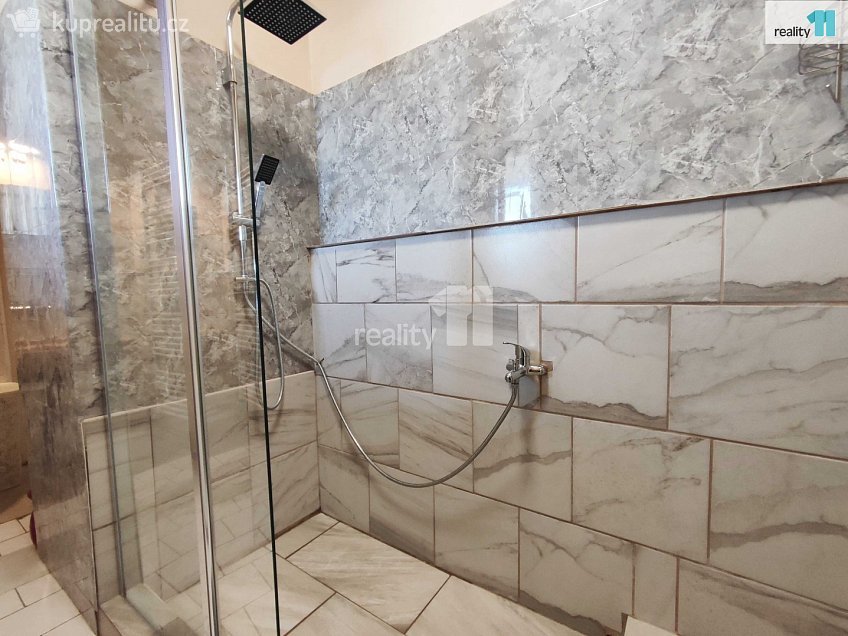 Prodej bytu 5 a více 223 m^2 Chlumec nad Cidlinou, Chlumec nad Cidlinou 