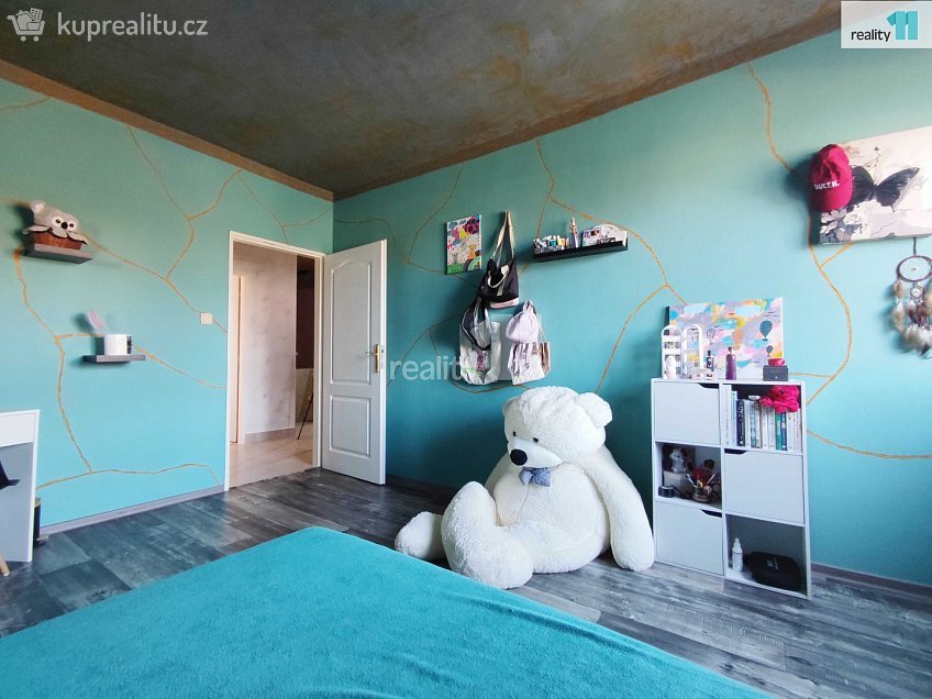 Prodej bytu 5 a více 223 m^2 Chlumec nad Cidlinou, Chlumec nad Cidlinou 