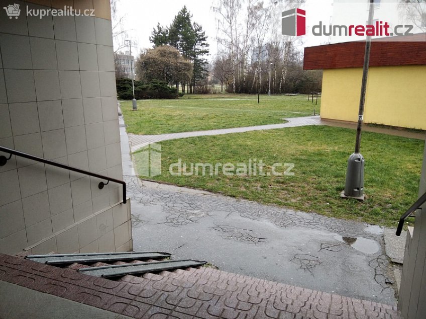 Pronájem bytu 1+kk 29 m^2 Studentská, Karviná 