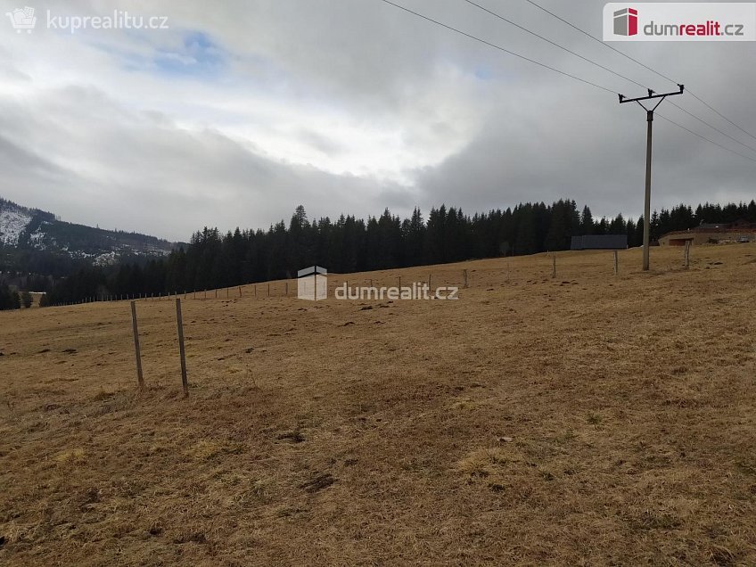 Prodej  louky 1321 m^2 Horská Kvilda, Horská Kvilda 