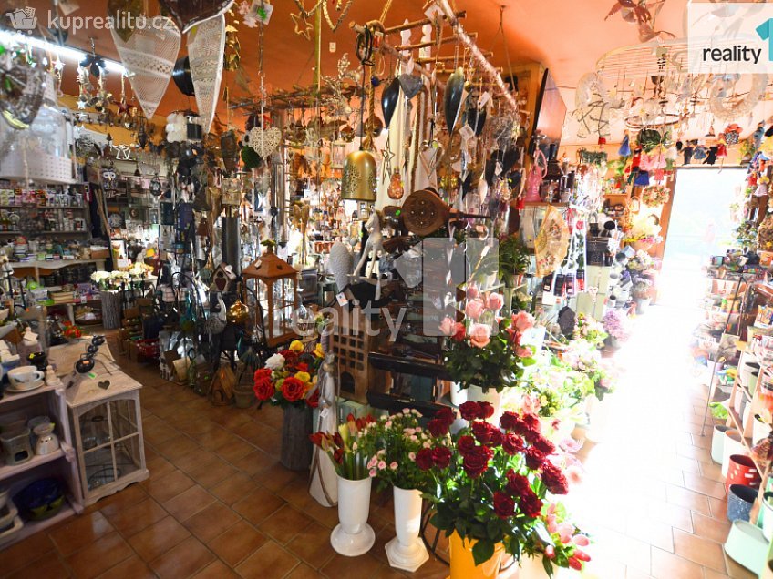 Pronájem  obchodních prostor 182 m^2 Mostecká, Ledeč nad Sázavou 