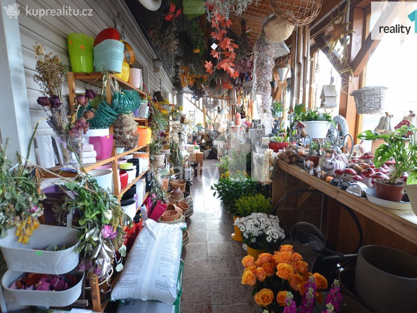 Pronájem  obchodních prostor 182 m^2 Mostecká, Ledeč nad Sázavou 