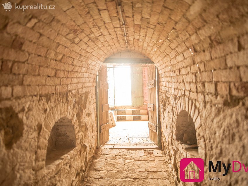 Pronájem  vinného sklepu 36 m^2 Břežany, Břežany 