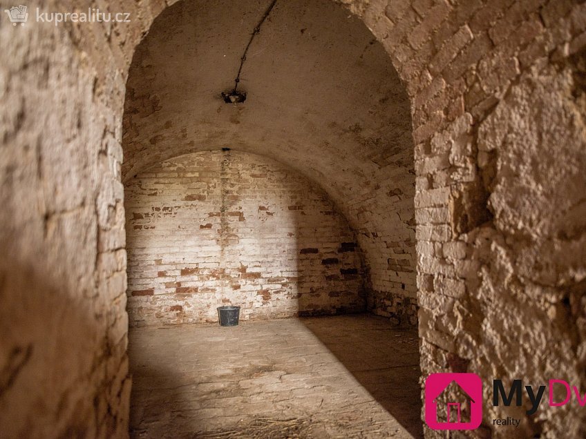 Pronájem  vinného sklepu 36 m^2 Břežany, Břežany 