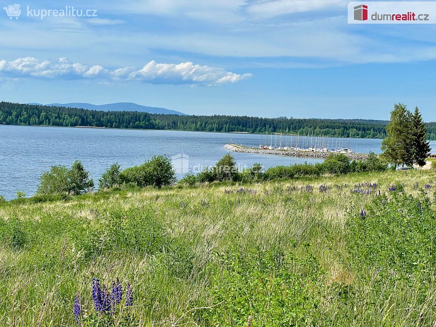 Prodej bytu 1+kk 47 m^2 Frymburk, Frymburk 