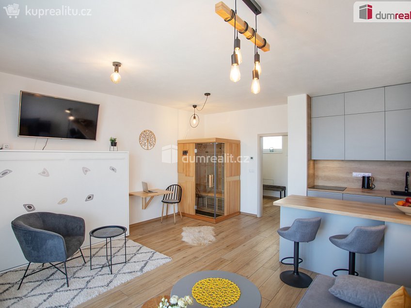 Prodej bytu 1+kk 47 m^2 Frymburk, Frymburk 