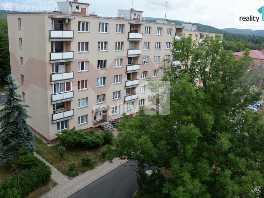 Pronájem bytu 1+kk 19 m^2 Revoluční, Nové Sedlo 