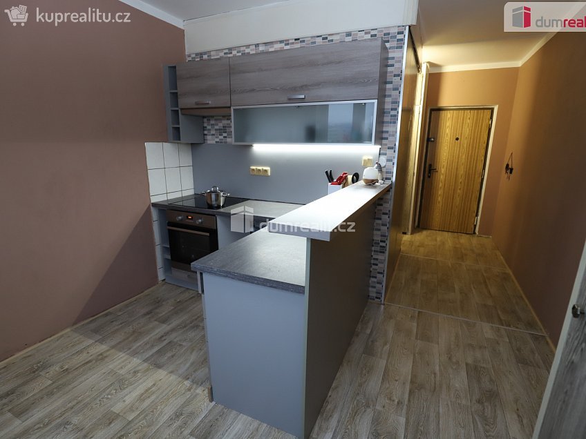 Pronájem bytu 1+1 41 m^2 Křížová, Sokolov 