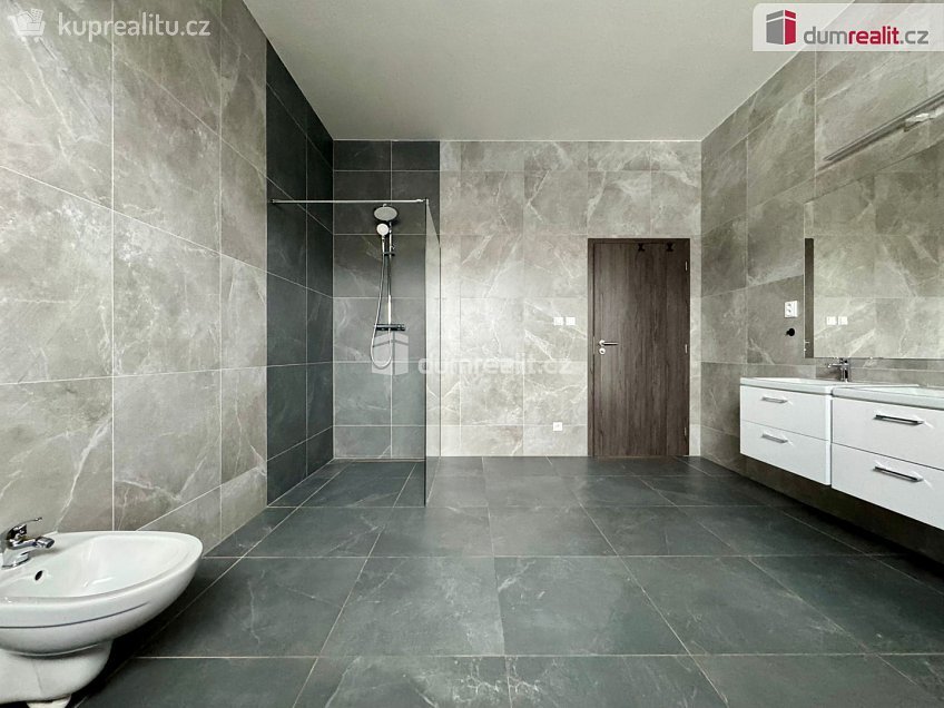 Pronájem  rodinného domu 154 m^2 Nezabylice, Nezabylice 