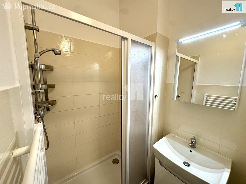 Pronájem bytu 3+kk 55 m^2 Svatoplukova, Praha 2 