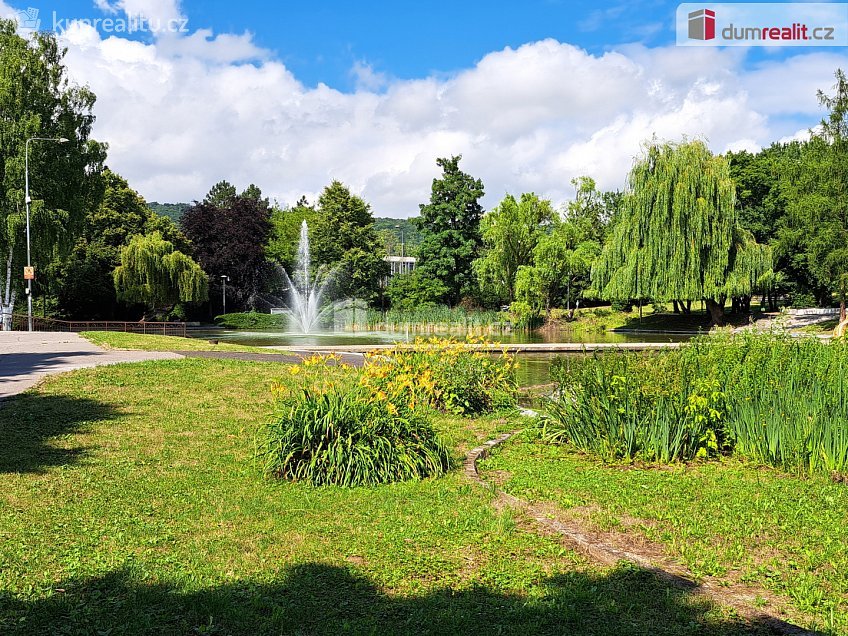 Prodej bytu 1+1 45 m^2 Šípková, Ústí nad Labem 