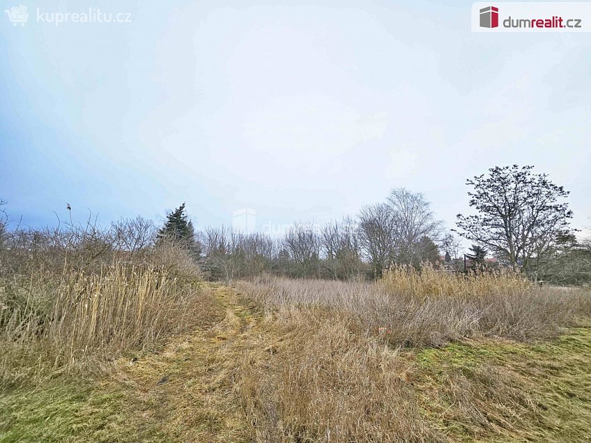 Prodej  pole 1549 m^2 Sulejovice, Sulejovice 