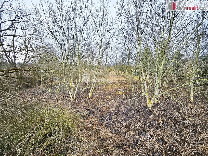 Prodej  pole 1549 m^2 Sulejovice, Sulejovice 