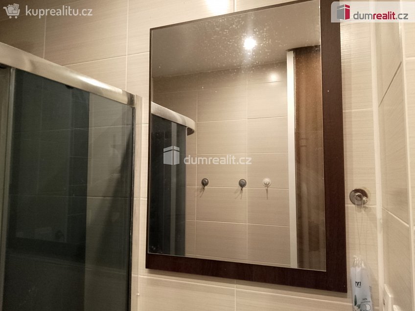 Pronájem bytu 2+1 55 m^2 Revoluční, Chodov 