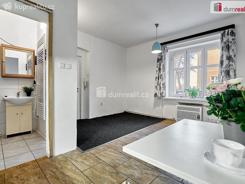 Pronájem bytu 1+kk 21 m^2 Emy Destinové, Ústí nad Labem 