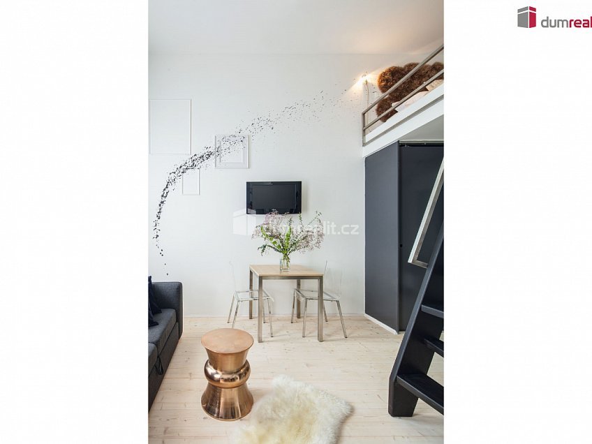 Pronájem bytu 1+kk 25 m^2 Plzeňská, Praha 5 